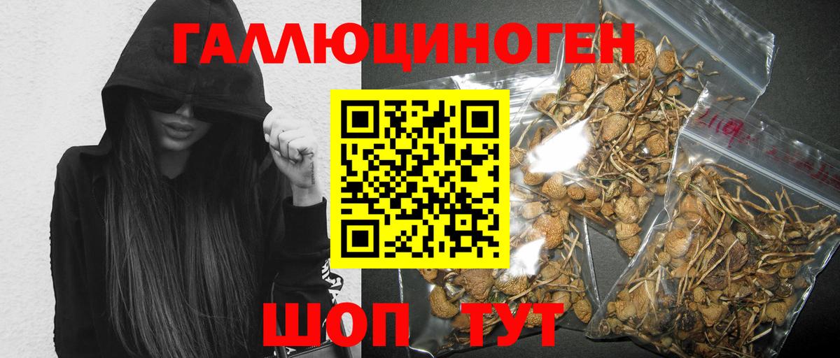 Каменск-Шахтинский  Галлюциногенные грибы мицелий  Вход с VPN 